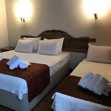 Leman Hanim Konagi Hotel Tire